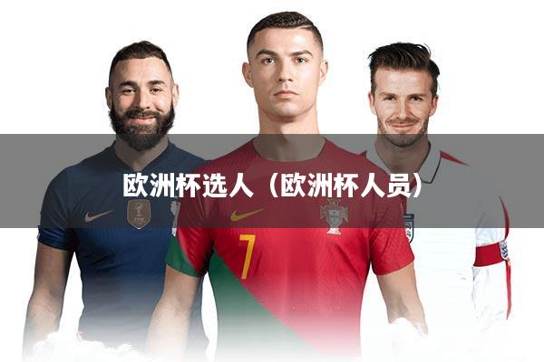 欧洲杯选人（欧洲杯人员）