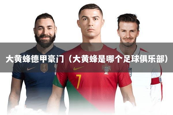 大黄蜂德甲豪门（大黄蜂是哪个足球俱乐部）
