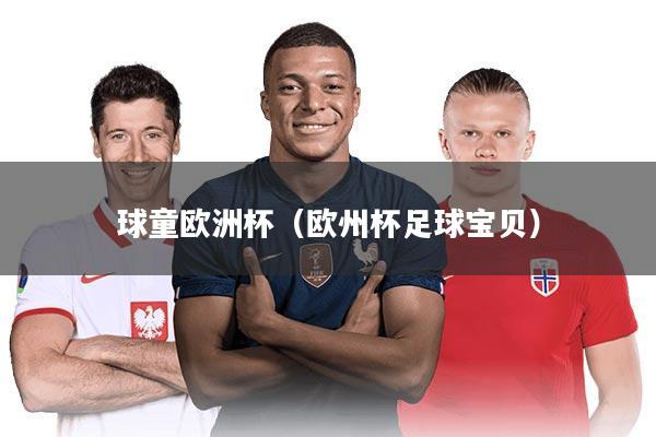 球童欧洲杯（欧州杯足球宝贝）