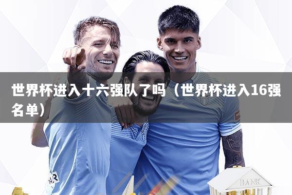 世界杯进入十六强队了吗(世界杯进入16强名单)